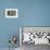 Harbor Seal on the Coast of the Shetland Islands. Scotland-Martin Zwick-Framed Photographic Print displayed on a wall