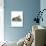 Harbor Seal-null-Giclee Print displayed on a wall