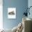 Harbor Seal-null-Stretched Canvas displayed on a wall