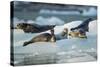 Harbor Seals on Iceberg, Alaska-Paul Souders-Stretched Canvas