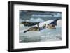 Harbor Seals on Iceberg, Alaska-Paul Souders-Framed Photographic Print