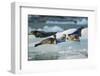 Harbor Seals on Iceberg, Alaska-Paul Souders-Framed Photographic Print