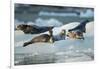 Harbor Seals on Iceberg, Alaska-Paul Souders-Framed Photographic Print