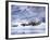 Harbor Seals on Iceberg in Glacier Bay National Park-Paul Souders-Framed Photographic Print