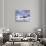 Harbor Seals on Iceberg in Glacier Bay National Park-Paul Souders-Photographic Print displayed on a wall