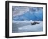 Harbor Seals on Iceberg of South Sawyer Glacier, Tracy Arm, Alaska, USA-Paul Souders-Framed Photographic Print