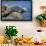 Harbor Seals with Molting Fur-DLILLC-Framed Photographic Print displayed on a wall