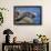 Harbor Seals with Molting Fur-DLILLC-Framed Photographic Print displayed on a wall