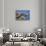 Harbor Seals with Molting Fur-DLILLC-Stretched Canvas displayed on a wall