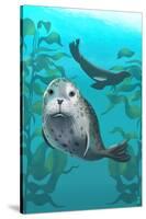 Harbor Seals-Lantern Press-Stretched Canvas