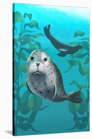 Harbor Seals-Lantern Press-Stretched Canvas