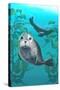 Harbor Seals-Lantern Press-Stretched Canvas