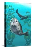 Harbor Seals-Lantern Press-Stretched Canvas