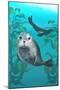 Harbor Seals-Lantern Press-Mounted Art Print