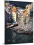 Harbor View of Hillside Town of Riomaggiore, Cinque Terre, Italy-Julie Eggers-Mounted Premium Photographic Print