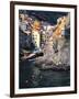 Harbor View of Hillside Town of Riomaggiore, Cinque Terre, Italy-Julie Eggers-Framed Photographic Print