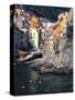 Harbor View of Hillside Town of Riomaggiore, Cinque Terre, Italy-Julie Eggers-Stretched Canvas
