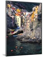 Harbor View of Hillside Town of Riomaggiore, Cinque Terre, Italy-Julie Eggers-Mounted Photographic Print