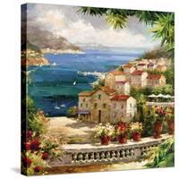 Harbor Vista-Peter Bell-Stretched Canvas