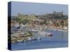 Harbour, Abbey and St. Mary's Church, Whitby, Yorkshire, England, UK, Europe-Michael Short-Stretched Canvas
