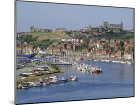 Harbour, Abbey and St. Mary's Church, Whitby, Yorkshire, England, UK, Europe-Michael Short-Mounted Photographic Print