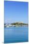 Harbour and Fort Carre, Antibes, Alpes Maritimes, Cote d'Azur, Provence, France, Mediterranean, Eur-Fraser Hall-Mounted Premium Photographic Print