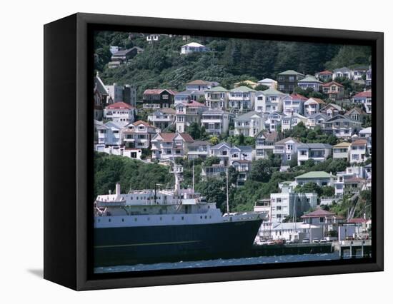 Harbour and Houses, Wellington, North Island, New Zealand-Adam Woolfitt-Framed Stretched Canvas