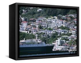 Harbour and Houses, Wellington, North Island, New Zealand-Adam Woolfitt-Framed Stretched Canvas