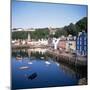 Harbour and Main Street, Tobermory, Island of Mull, Argyllshire, Inner Hebrides, Scotland-Geoff Renner-Mounted Photographic Print