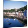 Harbour and Main Street, Tobermory, Island of Mull, Argyllshire, Inner Hebrides, Scotland-Geoff Renner-Mounted Photographic Print