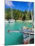 Harbour and Village, La Digue, Seychelles, Indian Ocean-J P De Manne-Mounted Photographic Print