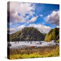Harbour at Balmaha, Loch Lomond, Stirlingshire, Scotland, Uk-Travellinglight-Stretched Canvas