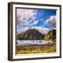 Harbour at Balmaha, Loch Lomond, Stirlingshire, Scotland, Uk-Travellinglight-Framed Photographic Print