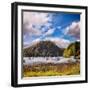 Harbour at Balmaha, Loch Lomond, Stirlingshire, Scotland, Uk-Travellinglight-Framed Photographic Print