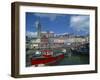 Harbour at Cobh, County Cork, Munster, Republic of Ireland, Europe-Richardson Rolf-Framed Photographic Print