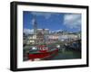 Harbour at Cobh, County Cork, Munster, Republic of Ireland, Europe-Richardson Rolf-Framed Photographic Print