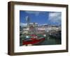 Harbour at Cobh, County Cork, Munster, Republic of Ireland, Europe-Richardson Rolf-Framed Photographic Print