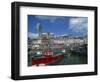 Harbour at Cobh, County Cork, Munster, Republic of Ireland, Europe-Richardson Rolf-Framed Photographic Print