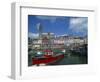 Harbour at Cobh, County Cork, Munster, Republic of Ireland, Europe-Richardson Rolf-Framed Photographic Print