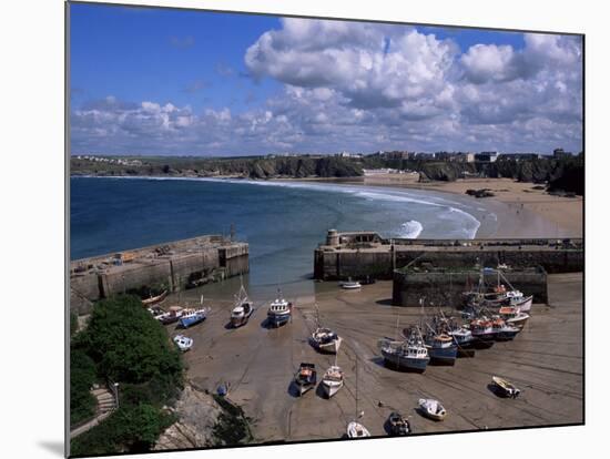 Harbour at Low Tide with Town Beach Beyond, Newquay, Cornwall, England, United Kingdom-Julian Pottage-Mounted Photographic Print