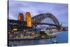 Harbour Bridge, Darling Harbour, Sydney, New South Wales, Australia-Doug Pearson-Stretched Canvas
