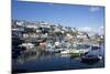 Harbour, Brixham, Devon, England, United Kingdom-Peter Groenendijk-Mounted Photographic Print