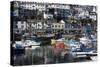 Harbour, Brixham, Devon, England, United Kingdom-Peter Groenendijk-Stretched Canvas