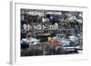 Harbour, Brixham, Devon, England, United Kingdom-Peter Groenendijk-Framed Photographic Print