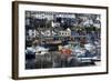 Harbour, Brixham, Devon, England, United Kingdom-Peter Groenendijk-Framed Photographic Print