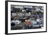 Harbour, Brixham, Devon, England, United Kingdom-Peter Groenendijk-Framed Photographic Print