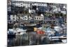 Harbour, Brixham, Devon, England, United Kingdom-Peter Groenendijk-Mounted Photographic Print