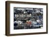 Harbour, Brixham, Devon, England, United Kingdom-Peter Groenendijk-Framed Photographic Print