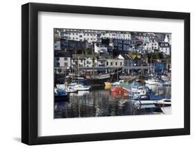 Harbour, Brixham, Devon, England, United Kingdom-Peter Groenendijk-Framed Photographic Print