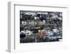 Harbour, Brixham, Devon, England, United Kingdom-Peter Groenendijk-Framed Photographic Print